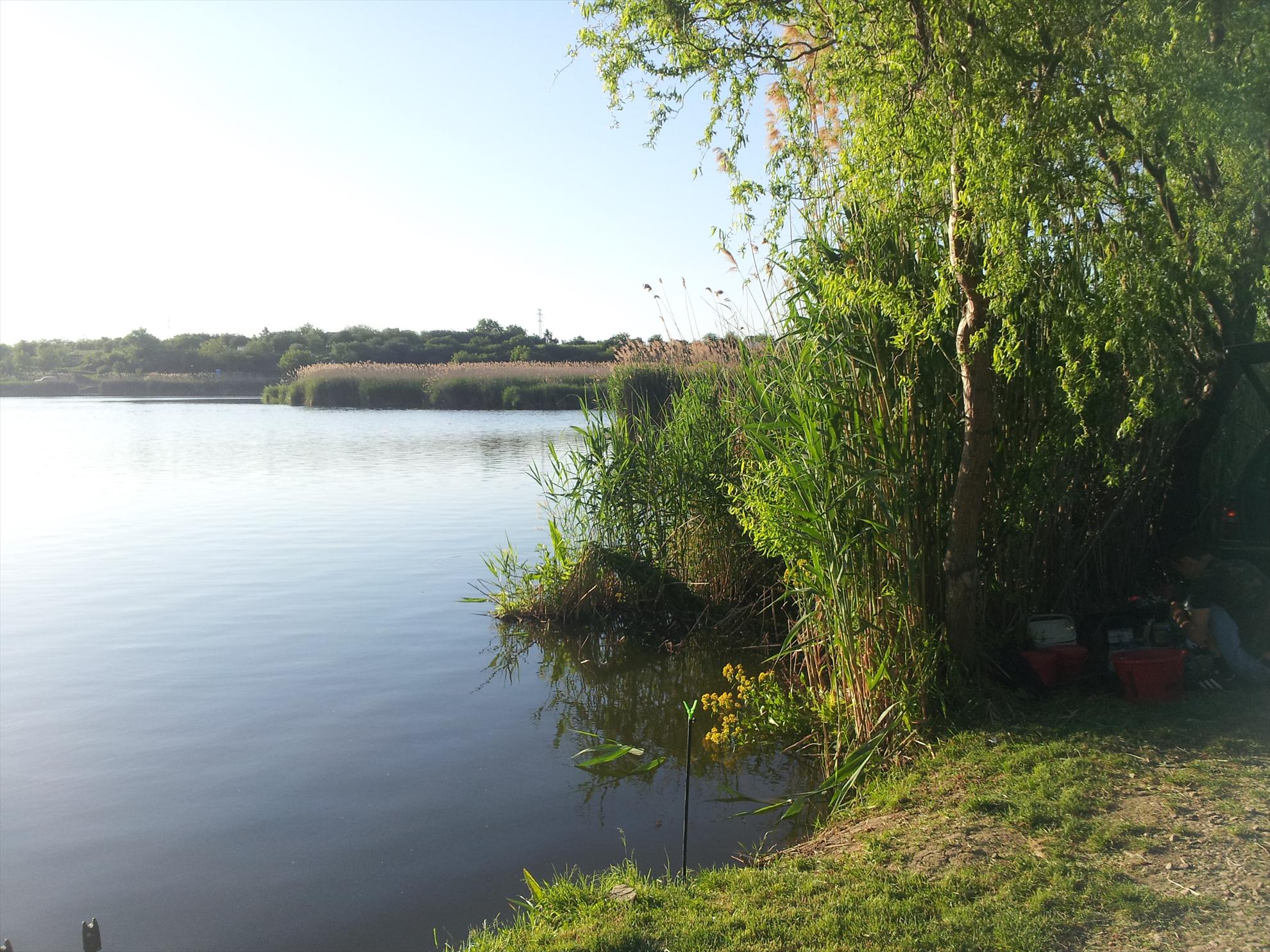 tancabesti 11-12'05''2013 - 20130511191925.jpg